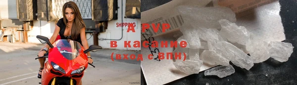 стафф Белокуриха