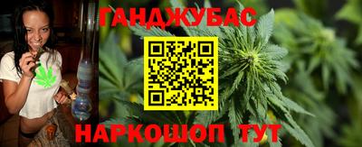 spice Камышлов