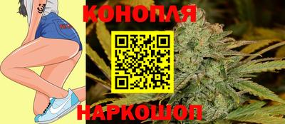 Альфа ПВП Канаш