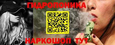 spice Камышлов