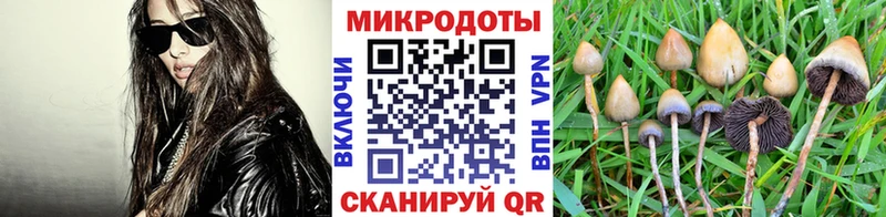 Галлюциногенные грибы GOLDEN TEACHER  что такое наркотик  blacksprut зеркало  Кувандык 